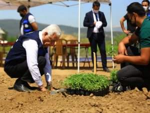Ata tohumları toprakla buluştu