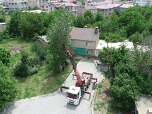 Tatvan’da polen ve pamukçuk üreten kavak ağaçları kesiliyor