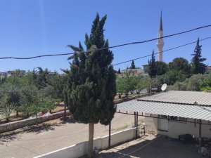 Denizköylüler 6 Haziran’da muhtarını seçecek