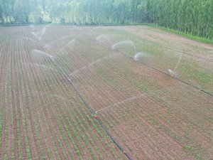 2021 yılı ‘Su ve Sulamada Hamle Yılı’