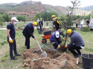 Bayburt’ta yeşil bir gelecek için ağaç dikme etkinliği düzenlendi