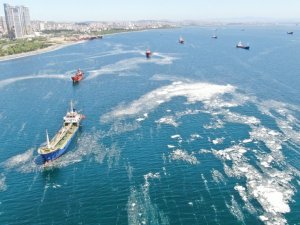 Deniz salyası ve balık ölümlerinin nedeni su sıcaklığının artması