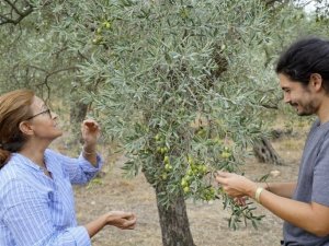 14. Ulusal Naturel Sızma Zeytinyağı Kalite Ödülleri Yarışması’nda Aydın’a gümüş madalya