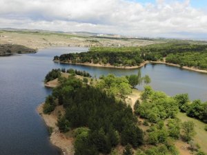 Maviyle yeşil buluştu