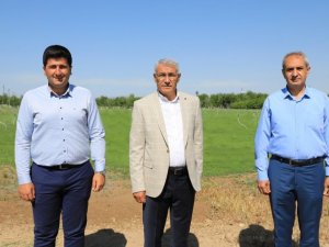 Battalgazi Belediyesi ‘rulo çim üretim tesisi’ kurdu