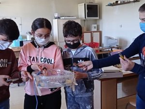 Muğlalı çocuklar “Steam ile denizleri koruyorum” dedi