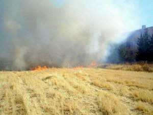 Anız yakanlara dekar başına 80 TL ceza kesilecek