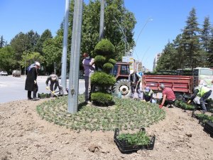 Ereğli Belediyesinden çiçeklendirme çalışmaları