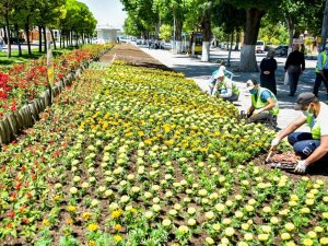 Malatya’da parklar çiçeklerle süsleniyor