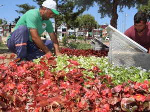 Toroslar’da yeşil alanlar rengarenk çiçeklerle bezendi