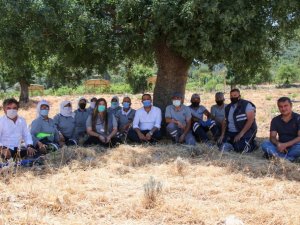 Bodrum’da 200 dönüm arazi tarıma kazandırıldı