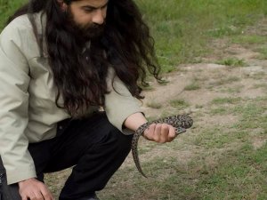 Nesli tükenme altında, Sivas’ta görüldü