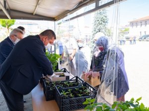 Belediye serasında üretilen 60 bin ata tohumu fideleri vatandaşlara dağıtıldı