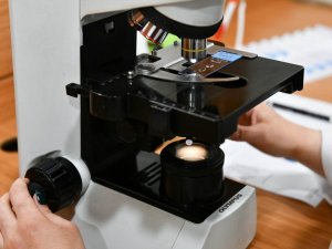 Evlenecek çiftler ücretsiz SMA testine yoğun ilgi gösteriyor