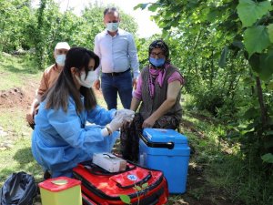 Samsun’da aşı yaptırmayan oranı yüzde 28,42