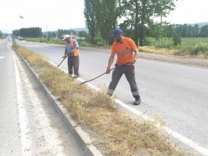 Karayolu çevresinde yabani ot temizliği