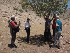 Şanlıurfa’nın bozkırlarının biyolojik yapısı tanıtıldı