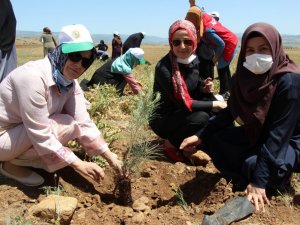 Bingöl’de kadınlar, 3 bin fidanı toprakla buluşturdu