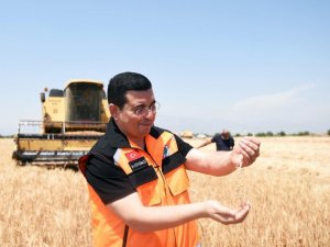 Kepez’de hasat başladı