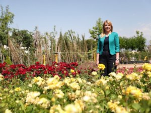 Belediye kendi ürettiği çiçeklerle tasarruf sağlıyor
