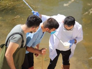 Aksaray’da sivrisinekle mücadelede biyolojik kökenli larvasitler kullanılmaya başlandı