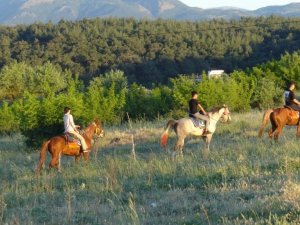 Balıkesir’de yeni gözde ’atlı safari’
