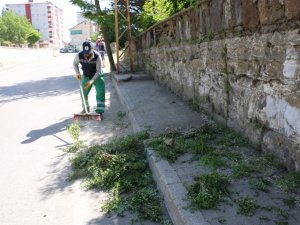 Bitlis’te yabani ot temizliği