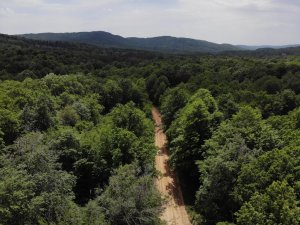 Doğa harikası Istrancalar’da görsel şölen