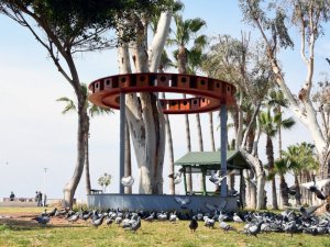 Mersin’de sahil bandına doğadaki kuşlar için kuş evi yerleştirildi