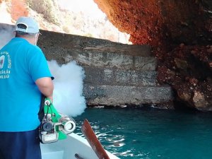 Alanya’da denizden sinekle mücadele