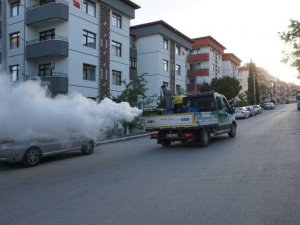 Beypazarı Belediyesi haşere ilaçlama çalışmalarını sürdürüyor