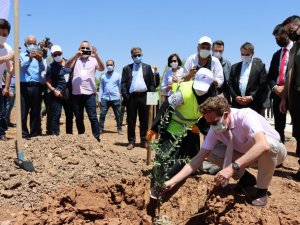 AB Büyükelçi Nikolaus Meyer-Landrut, Şanlıurfa’da ağaç dikti
