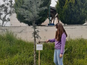 Hayatını kaybeden sağlık çalışanları için fidan diktiler