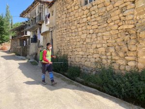 Uludere’de ilaçlama çalışmaları başladı