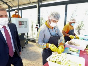 Sokak hayvanlarına günde 400 kilo yaş mama üretimi