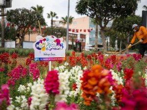 Mevsimlik bitkilerle Mersin renkleniyor