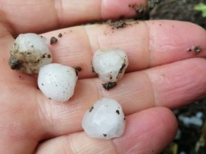 Tokat’ta dolu yağışı