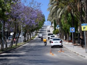Kuşadası’nda Jakaranda ağaçları çiçek açtı