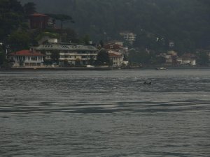 Yağmurla birlikte yunus sürüsü İstanbul Boğazı’na akın etti