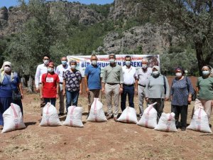Marmaris Belediyesi’nden çiftçilere tohumluk fıstık