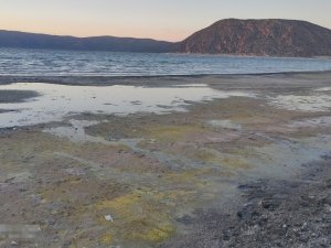 Salda Gölü’ndeki değişimin nedeni mevsimsel polenler