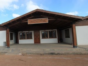 Vatandaşın bulduğu yavru kartala annesi gibi bakılıyor