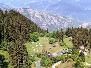 Bu obada ayı ve kurt görene 10 günlük tatil bedava