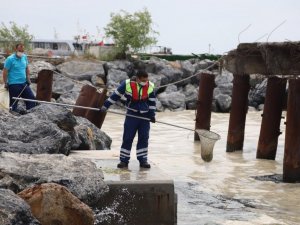 Kartal sahilleri deniz salyasından temizleniyor