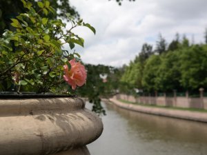 Gül mevsiminde Eskişehir’den kartpostallık görüntüler