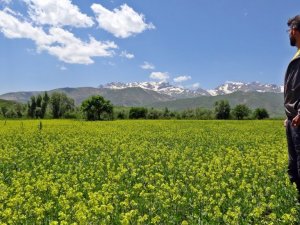 İsviçreli turist Yüksekova dağlarına hayran kaldı
