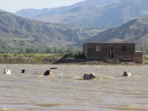 Alarm veren barajda Afrika’yı aratmayan görüntüler