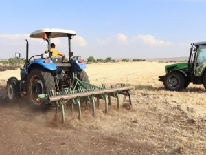 Buğday tarlasındaki yangın çiftçilerin müdahalesiyle söndürüldü