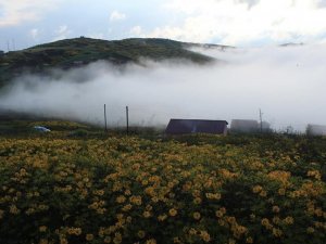 Ordu yaylalarında kartpostallık görüntüler