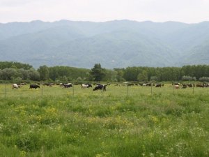 2 köye mera tahsisleri yapıldı
